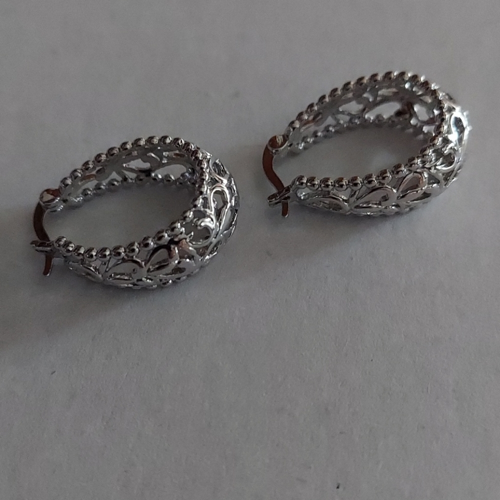 Earrings  nwot